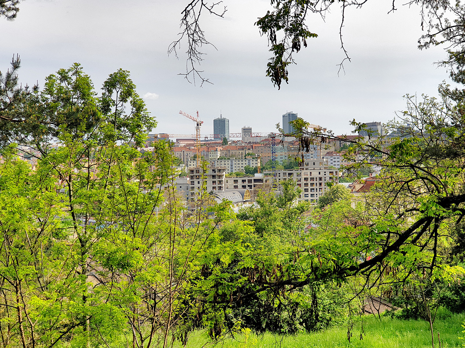 Letňany Leaves Its Neighbours Behind: Prague's Most Undervalued District Is Catching Up Fast
