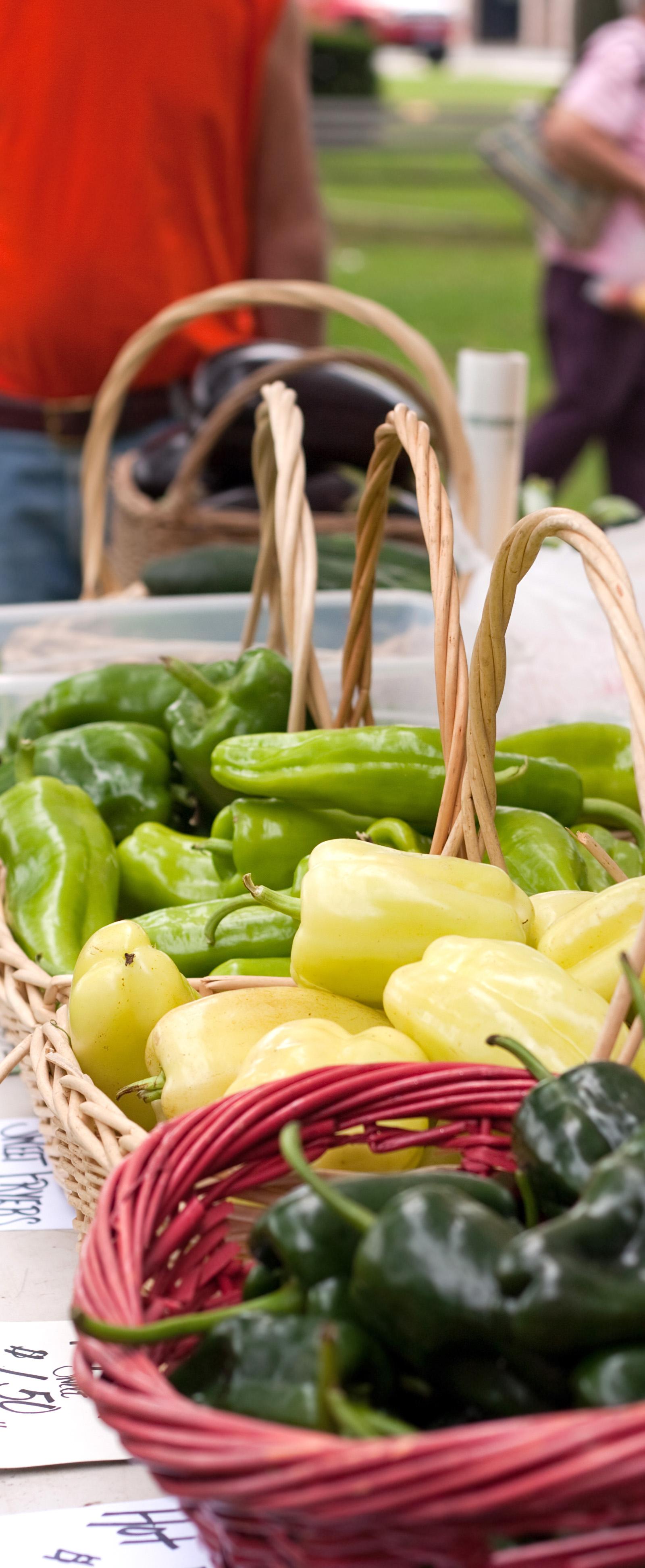 Prague Farmers Markets Peak in July With Fresh Cherries and Tomatoes